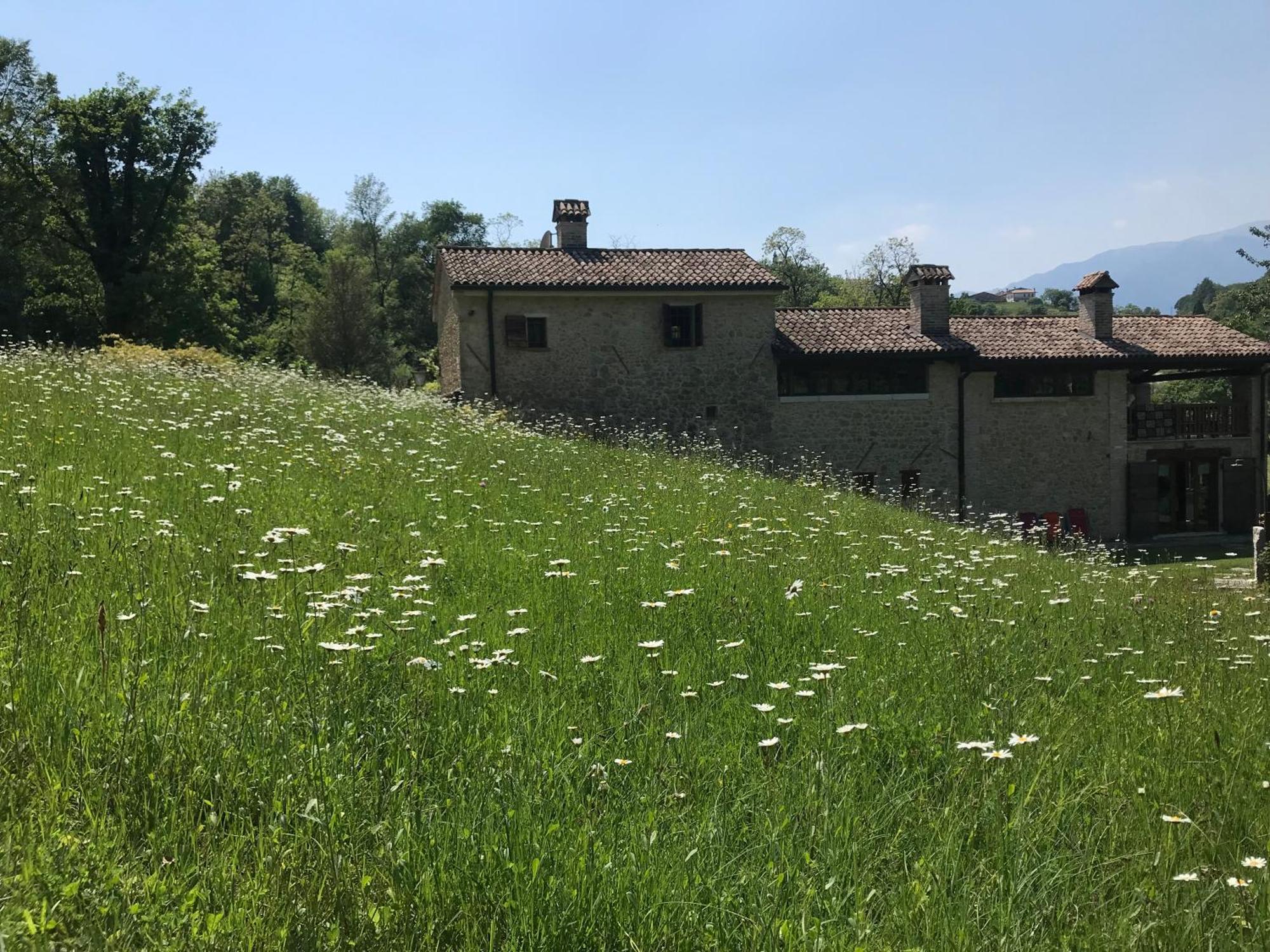 The Music Country House 卡瓦索德图巴 外观 照片