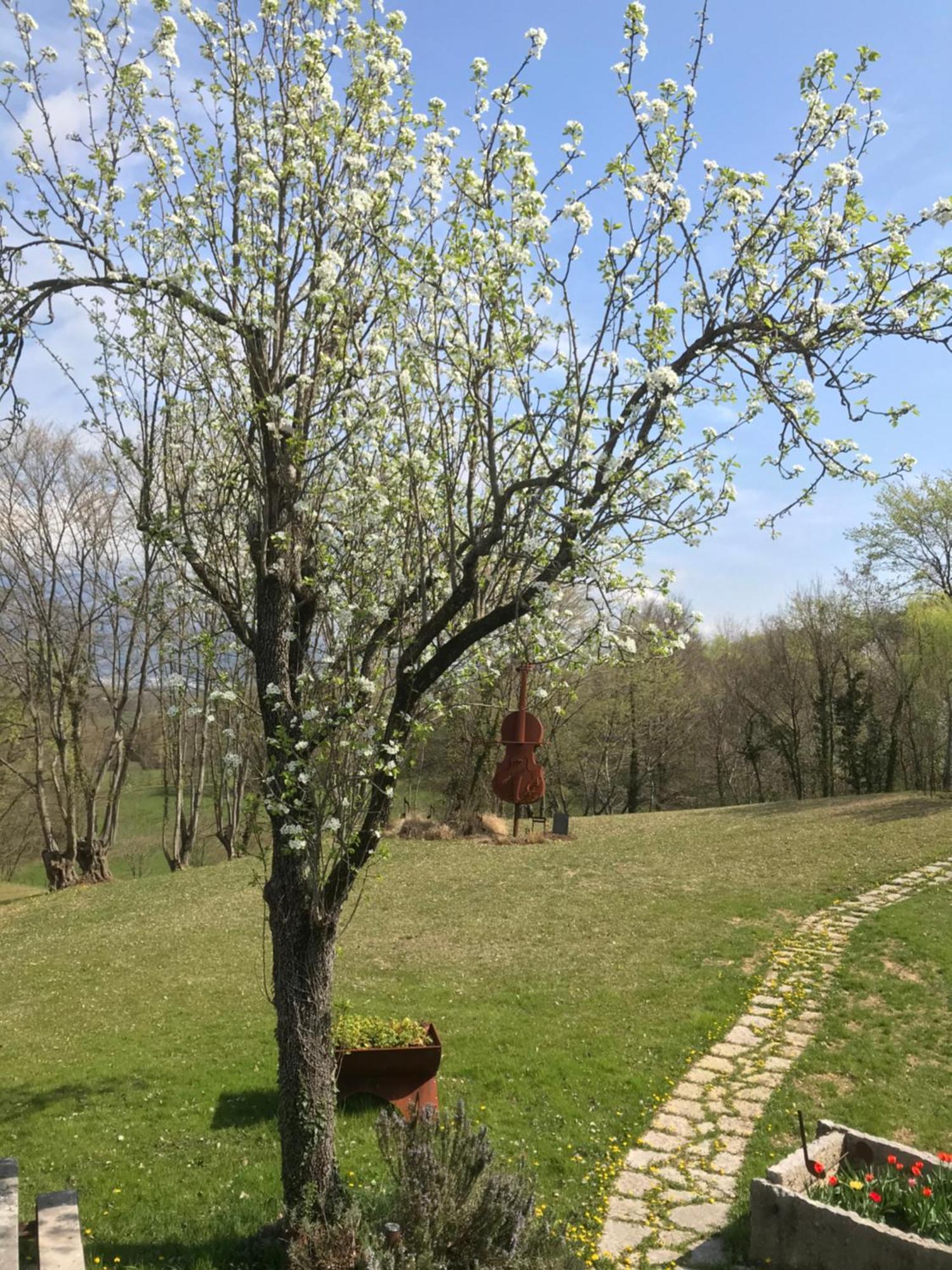 The Music Country House 卡瓦索德图巴 外观 照片