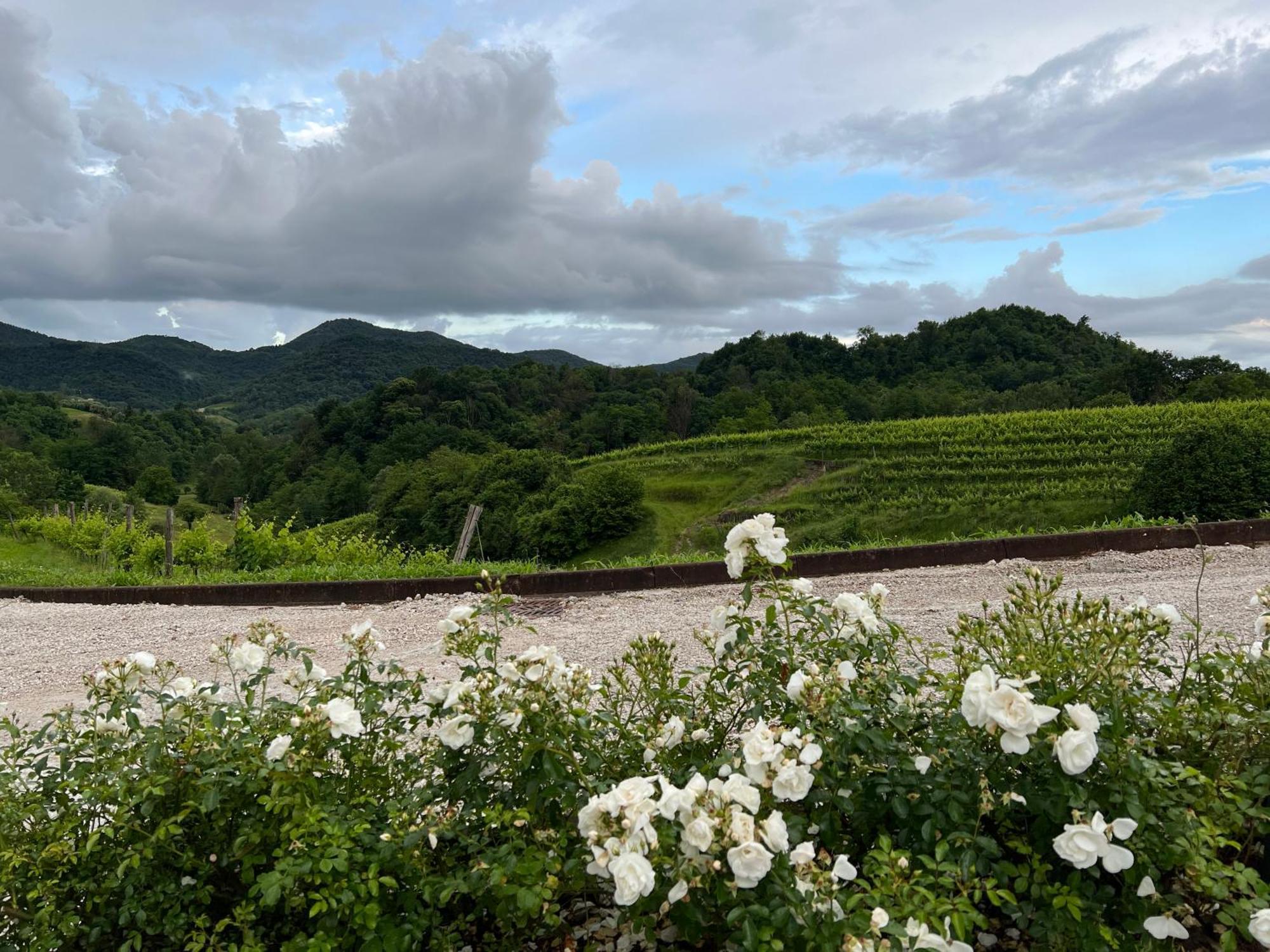 The Music Country House 卡瓦索德图巴 外观 照片